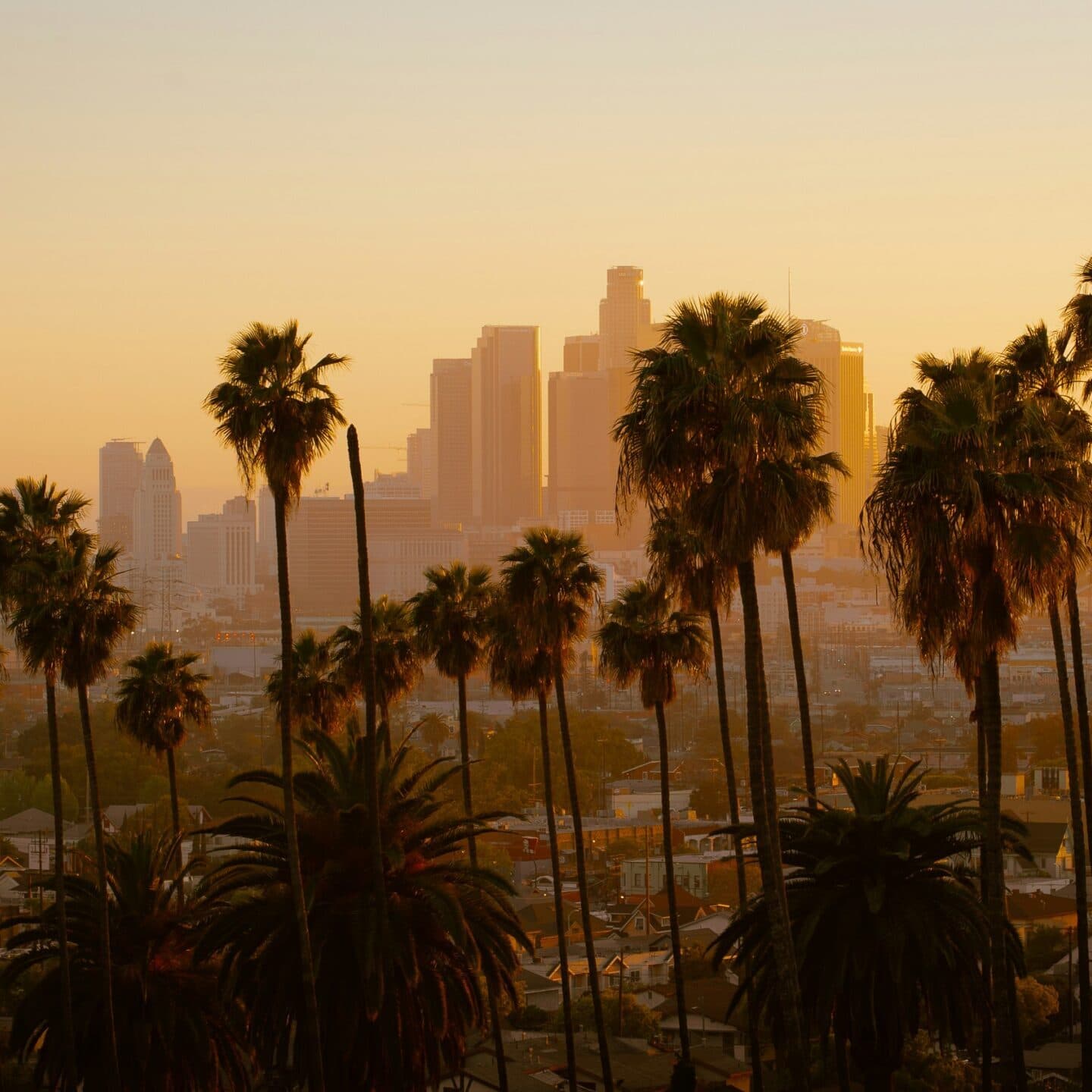Los Angeles, CA skyline