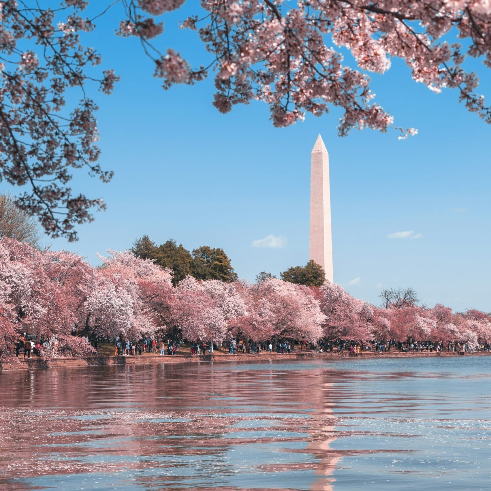 Washington, DC skyline